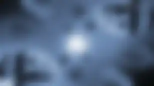 Transaction Ordering Policies & Value Accrual in L2s: Timeboost, OP PGA, Fastlane, and OEV Network