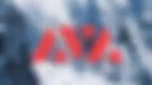 Avax & Ecosystem Fund