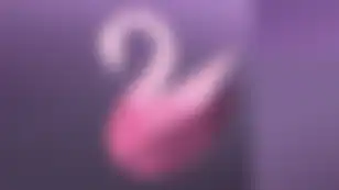 Pink Swan Trading