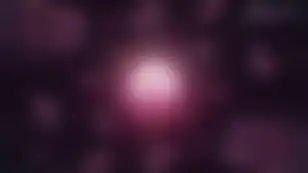 Delphi Digital's Chartbook - November 2025