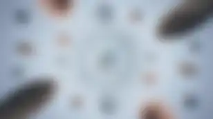 Sport.Fun: Reimagining the Fantasy Sports Frontier