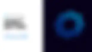 Delphi's Market Matters - February 2026