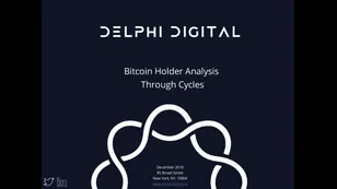 Bitcoin Holder Analysis Through Cycles - December 2018