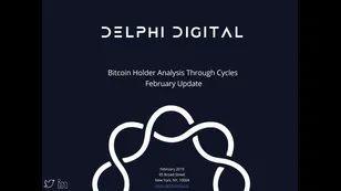 Bitcoin Holder Analysis Through Cycles - February 2019