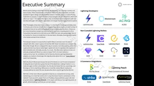 Lightning Network