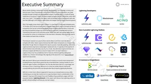 Lightning Network