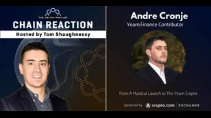 Exclusive Podcast with Yearn.Finance Contributor Andre Cronje
