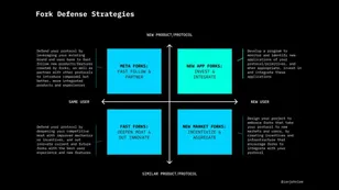Fork Defense Strategies in DeFi