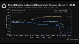 Select Stablecoin Market Caps Decline As Binance Auto-Converts To BUSD