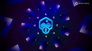 Inside the Leading PFP Ecosystems