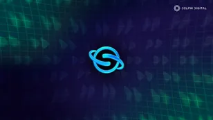 Skip: Building Blocks in Cosmos