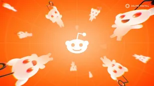 Reddit Avatars: NFTs as Digital Identity