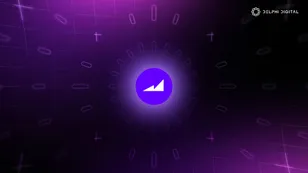 Maverick Takes Aim at the DEX Landscape
