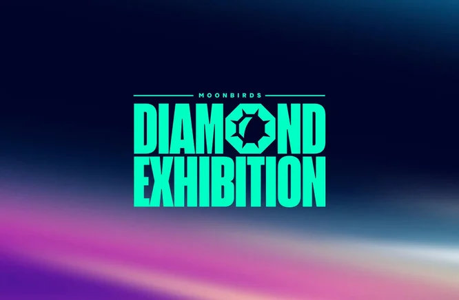 moonbirds diamond exhibition.jpeg