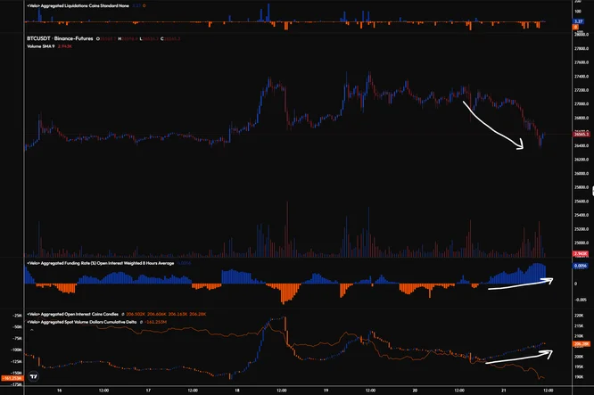 btcvelo btcvelo
