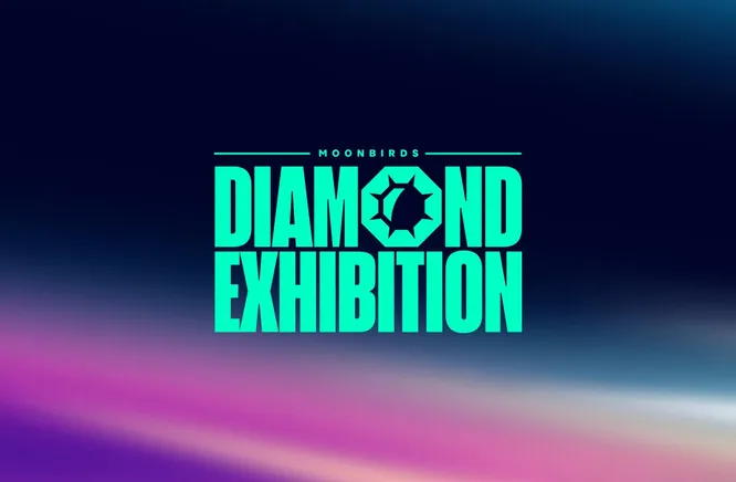 moonbirds diamond exhibition.jpeg